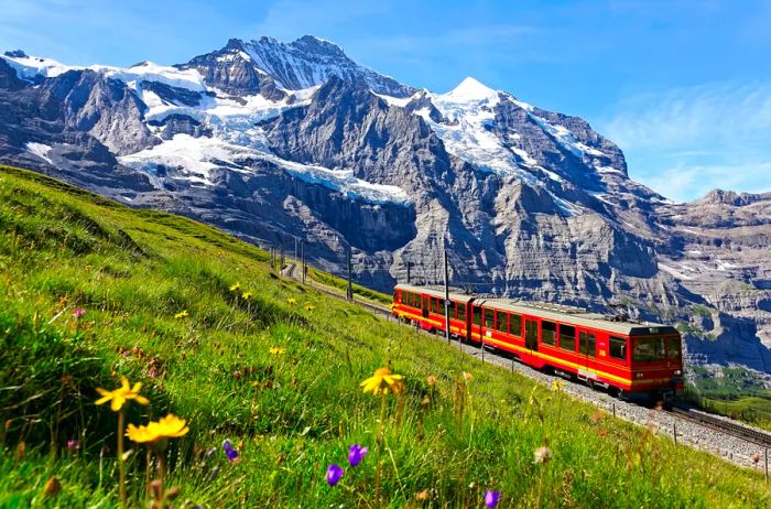 The striking red Jungfrau Railway traverses grassy hills in the Bernese Oberland, framed by rugged gray mountains with snow patches in the distance.