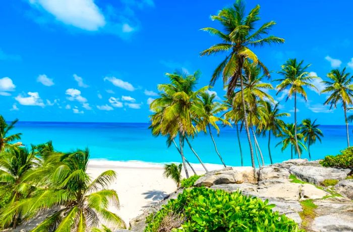 Sink Your Toes into the Soft White Sands of Barbados