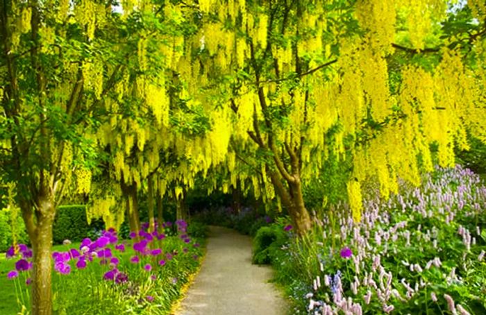 VanDusen Botanical Garden