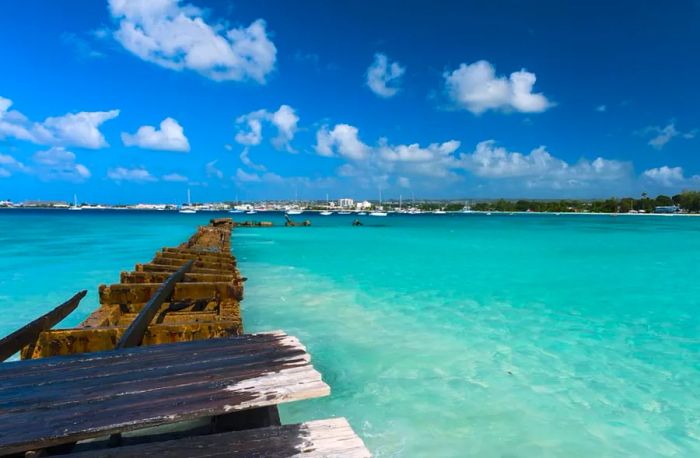 Experience the Untouched Beauty of Barbados