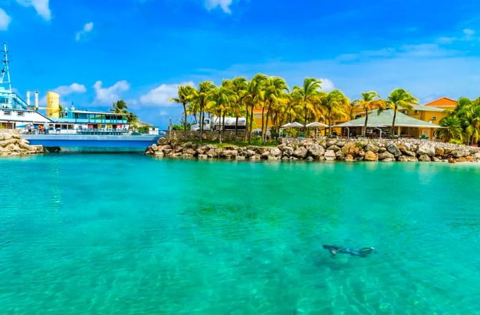 Dive into the Turquoise Waters of Curacao