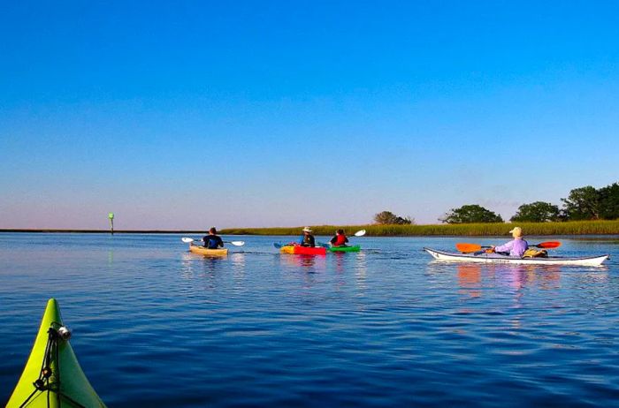 Kayaking Adventures on Amelia Island