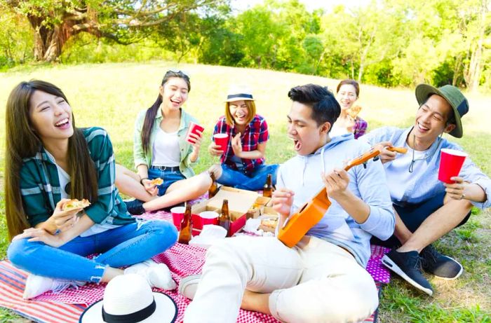 picnic with friends