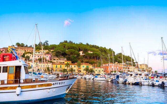 Harbor boats on Elba island, surrounded by palm trees, vibrant yellow and pink buildings, and a tree-covered hill along the shore