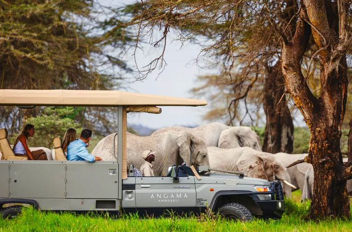 Visitors to Angama Amboseli approach a herd of elephants in a gray open-top vehicle.