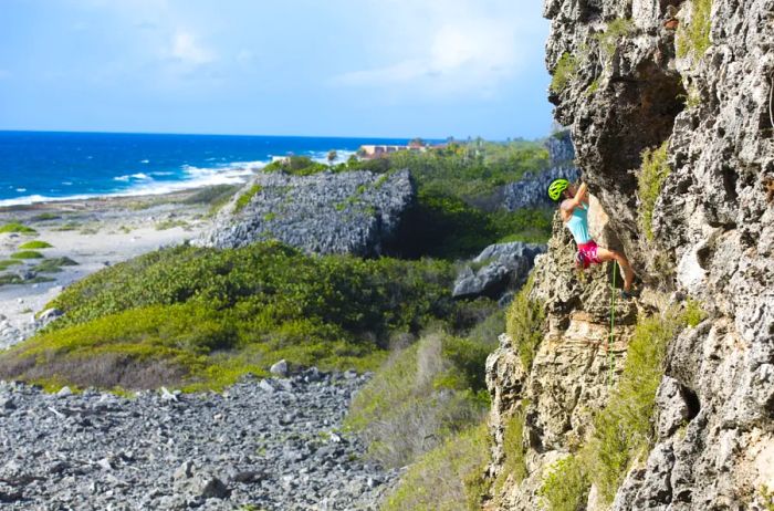 Cayman Islands Tourism Board