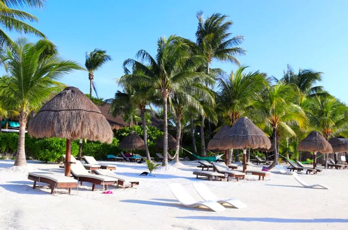 Thatched umbrellas, vacant lounge chairs, and hammocks lining a white-sand beach surrounded by palm trees