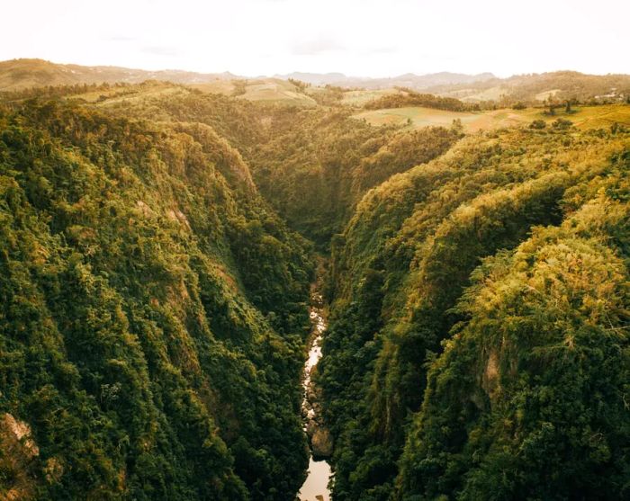 A stunning river valley nestled among towering green canyons in Puerto Rico's Cañón de San Cristóbal