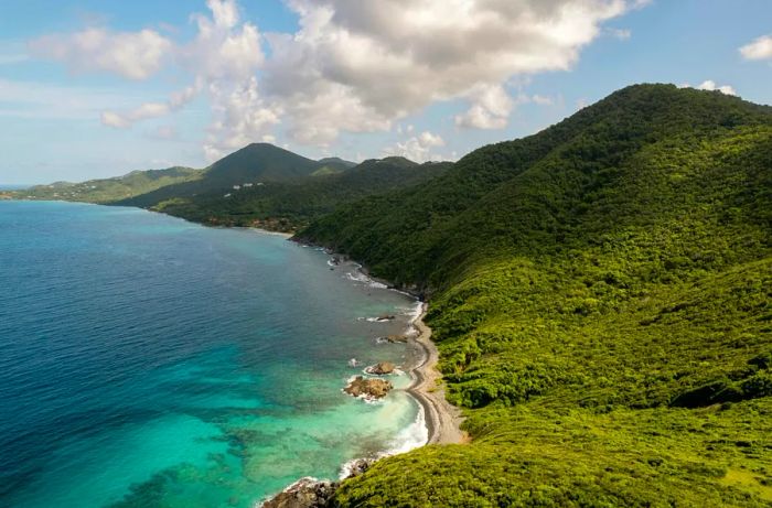 Lush coastline in St. Croix within the U.S. Virgin Islands