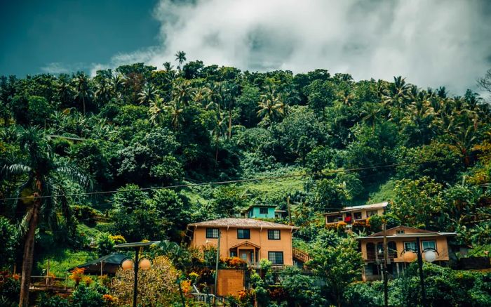 A hill adorned with tropical vegetation and several peach-hued houses in the foreground