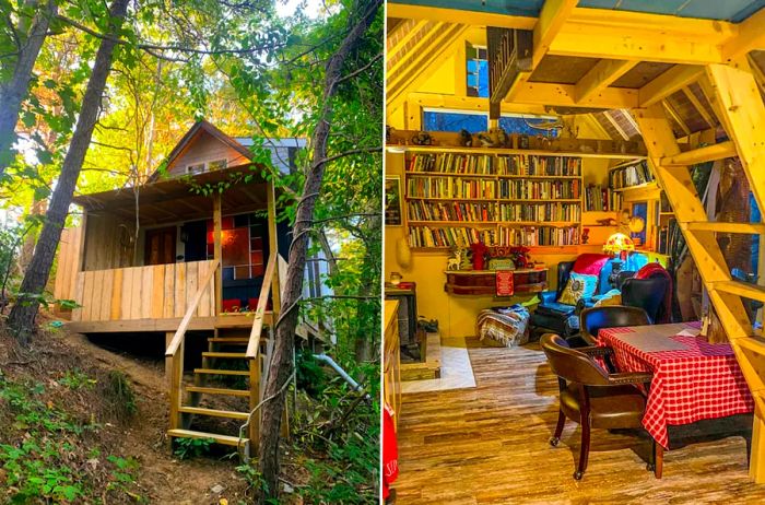 Exterior view of a quaint wooden cabin featuring a porch (L), and the interior showcases wooden floors, bookshelves brimming with books, and ladder access to a sleeping loft (R).