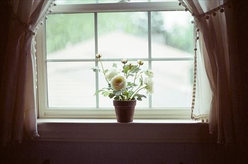 câu chuyện cuộc sống 2
