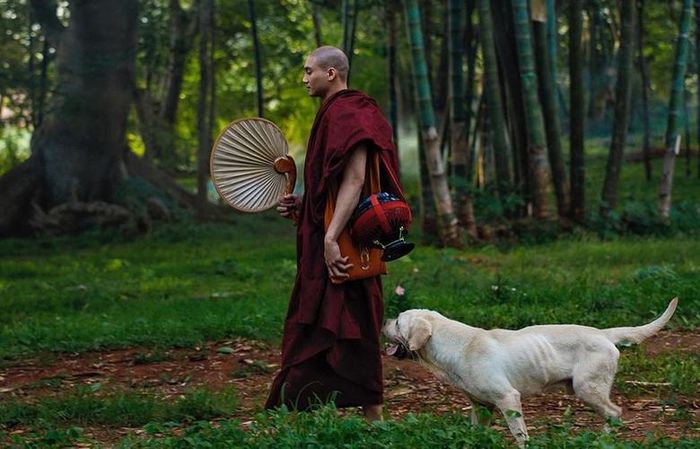 Cốt truyện của An Lạc dễ khiến người ta liên tưởng đến bộ phim Hachiko nổi tiếng.