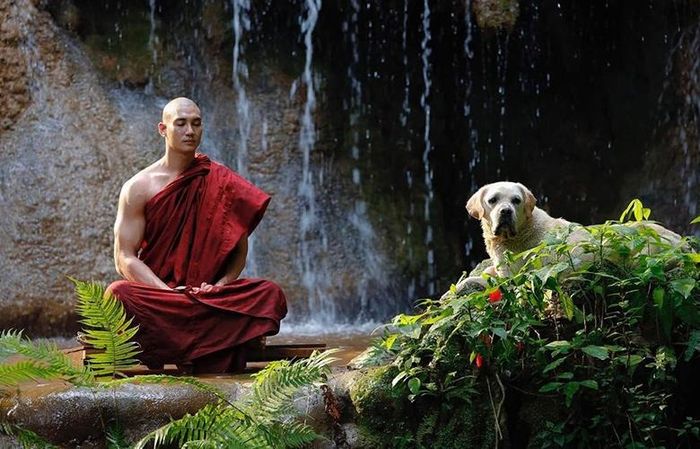 An Lạc và sư thầy có một mối liên kết đặc biệt.