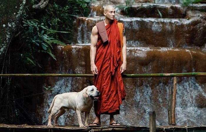 Bộ phim ngập tràn triết lý Phật học.