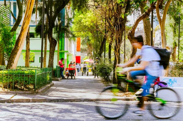 A biker zooms by in the Plaza de Rio de Janeiro, located in the Roma Norte neighborhood of Mexico City.