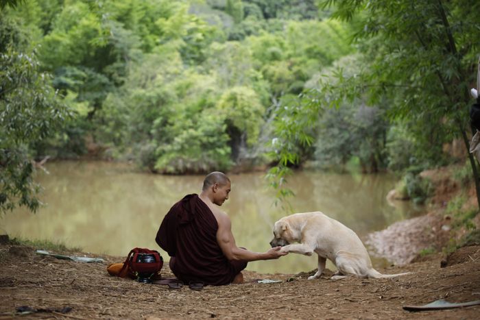 An Lạc là một trong những bộ phim nổi bật nhất của Myanmar trong thời gian gần đây.