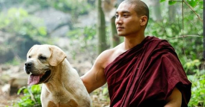 An Lạc là một bộ phim thuộc thể loại chữa lành đến từ Myanmar.