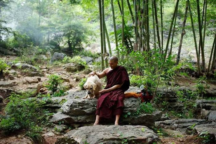 Bộ phim có cách kể chuyện dài dòng và rườm rà.