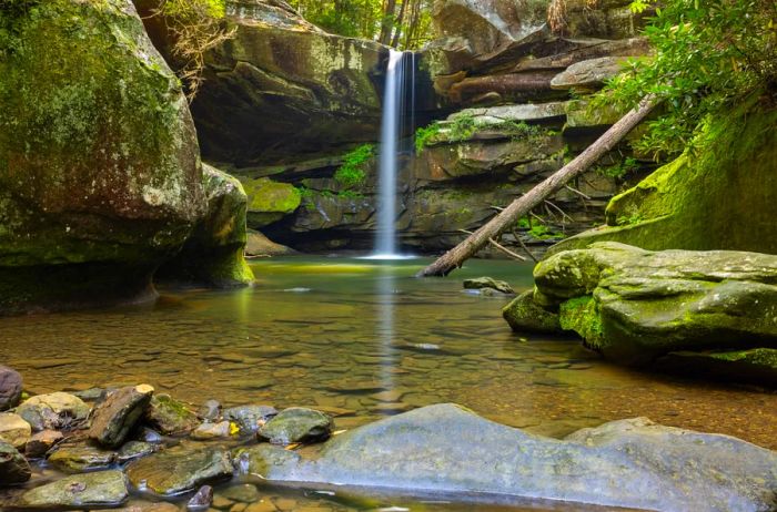 A long-exposure image captures a slender waterfall pouring into a wading pool, surrounded by moss-covered boulders and logs.