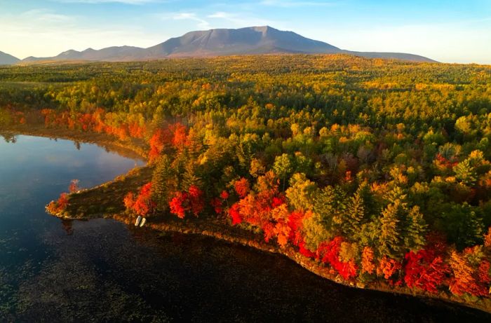 Aerial view of vibrant fall foliage in Katahdin Woods and Waters National Monument in Maine