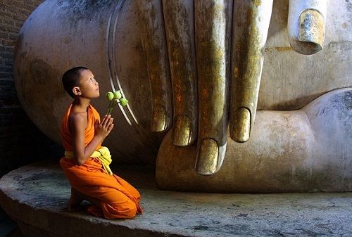 Những con giáp có mối thâm duyên với nhà Phật hình ảnh 2