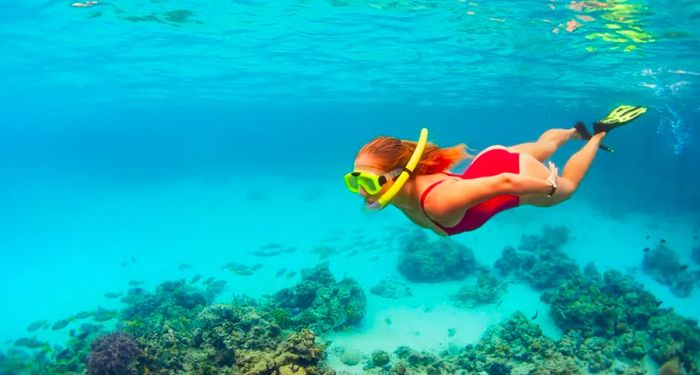 Snorkeling in Roatan