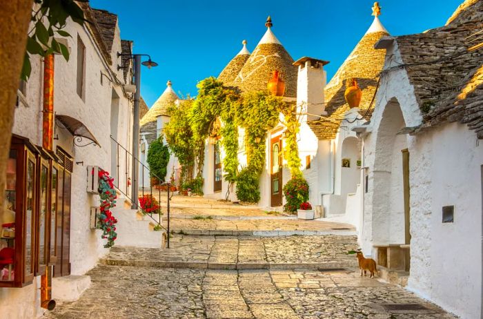 Whitewashed buildings topped with cone-shaped roofs made of brown stone.