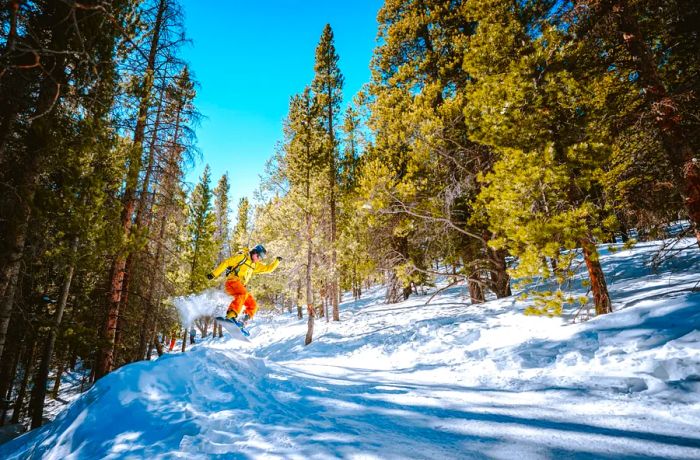 Exciting snowboarding and thrilling backcountry adventures await in Estes Park