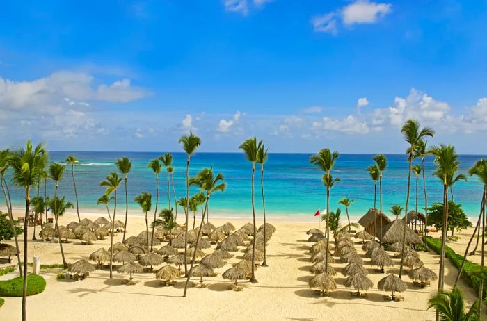 The Beach at Iberostar Grand Bávaro