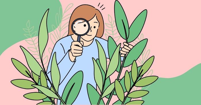 môn học mà em yêu thích bằng tiếng Anh