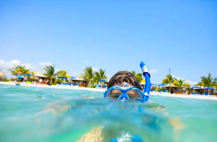 Splash and Have Fun at Harvest Caye