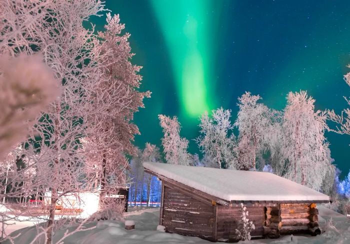 Wooden-walled accommodations at Northern Lights Ranch offer stunning views of the Aurora Borealis, nestled among the trees.