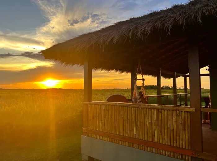 Wild Wetlands Lodge, located in Iberá National Park, Argentina, offers outdoor spaces shaded by thatched roofs.