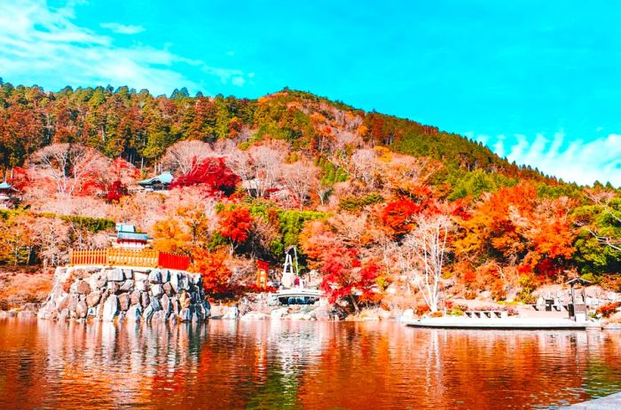 Autumn leaves on a rainy day in Japan