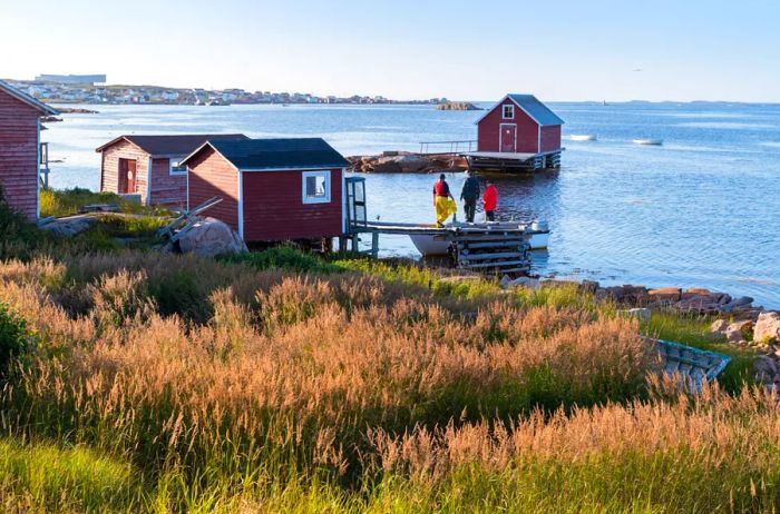 A view of red houses lining the coast of Fogo Island, Newfoundland, Canada