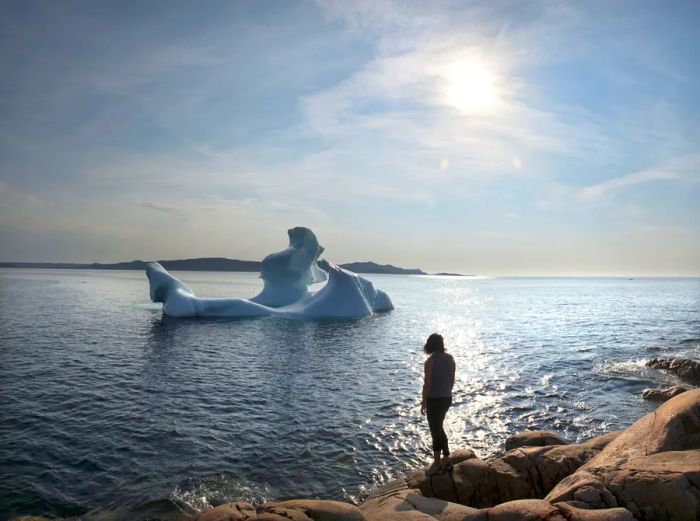 From mid-May to June, visitors can spot icebergs in the North Atlantic waters around Fogo Island Inn.