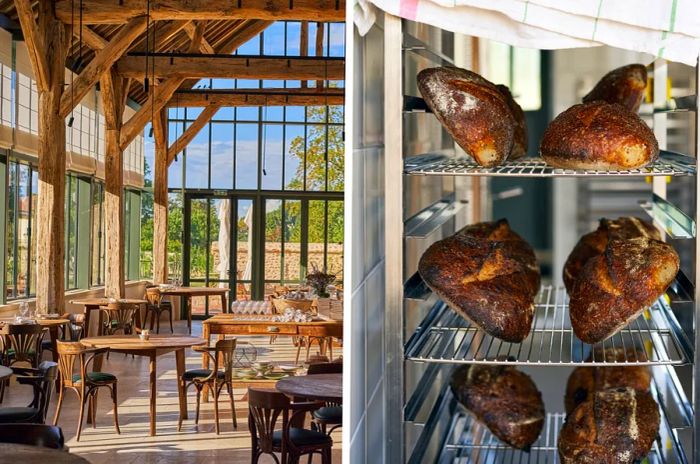 Vacant tables in a wood-beamed room featuring glass walls (L); an array of pastries at Le Doyenné (R)