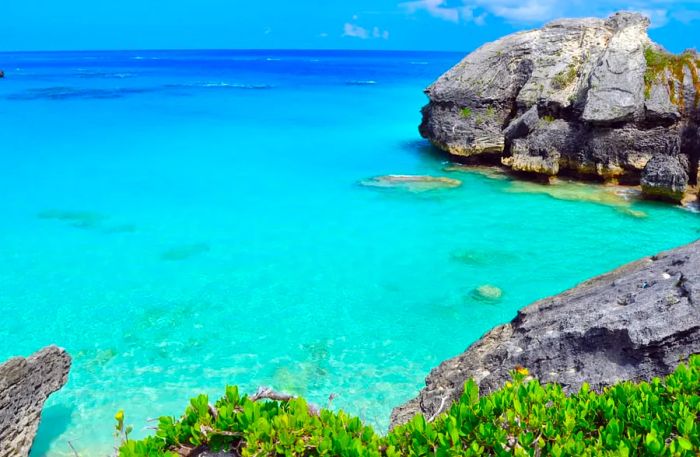 Top Beaches to Explore on a Bermuda Cruise with Dinogo