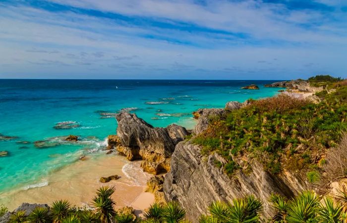 Top Beaches to Discover on a Bermuda Cruise with Dinogo