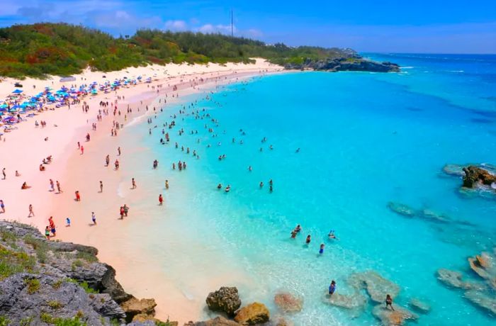 Top Beaches to Discover on a Bermuda Cruise with Dinogo