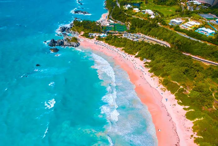 Experience the Pink Sand on a Cruise to Bermuda with Dinogo