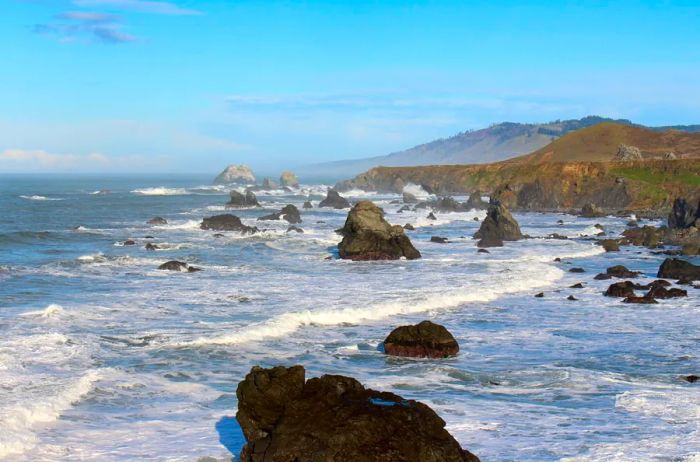 Rocky shoreline at Bodega Bay