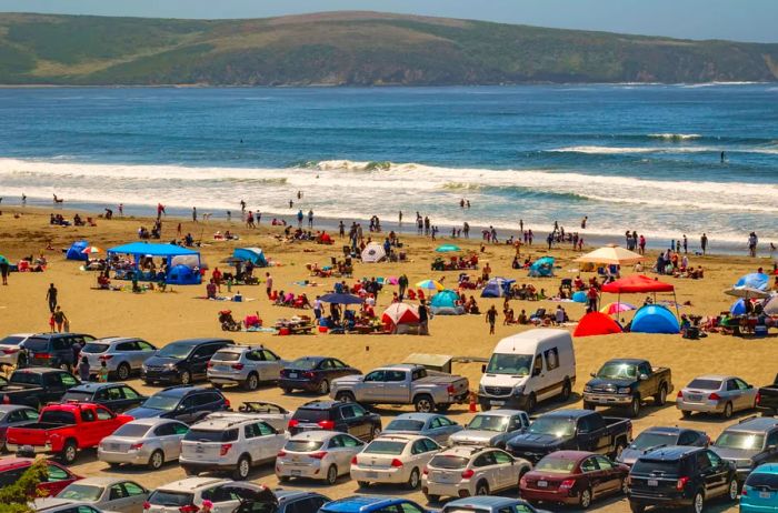 Throngs of visitors and numerous cars lined up at Dillon Beach