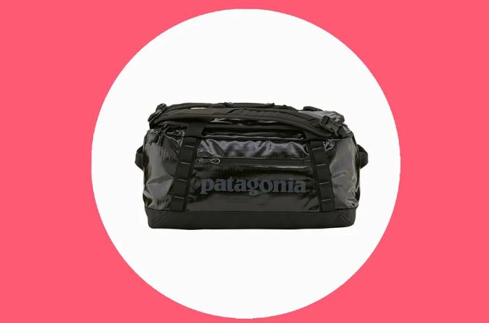 Patagonia Black Hole Duffel 40L