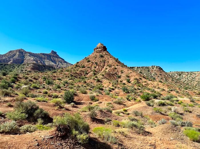 A view of The J.E.M Trail, showcasing the mountain biking path with low desert vegetation in the foreground and gentle desert peaks in the background.