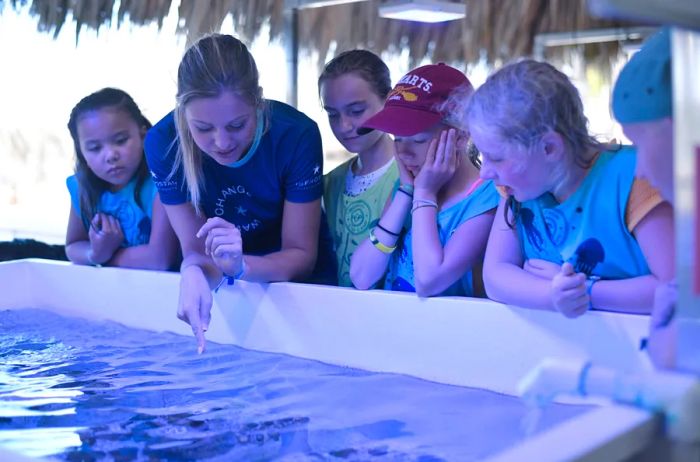 The Coral Laboratory at Iberostar Selection Bávaro Suites