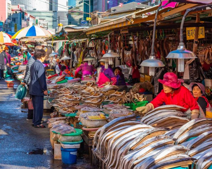 Cách di chuyển từ sân bay Gimhae về trung tâm
