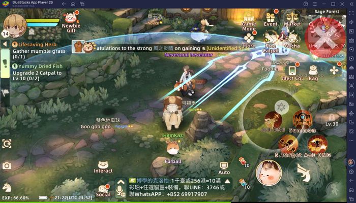 Tree of Savior: Neverland -TTH: Hướng dẫn về hệ thống chiến đấu