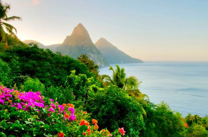 The majestic peaks of St. Lucia's Twin Pitons